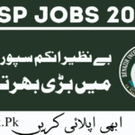 Benazir Income Support Program BISP Jobs 2024