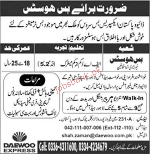 Daewoo Express Jobs